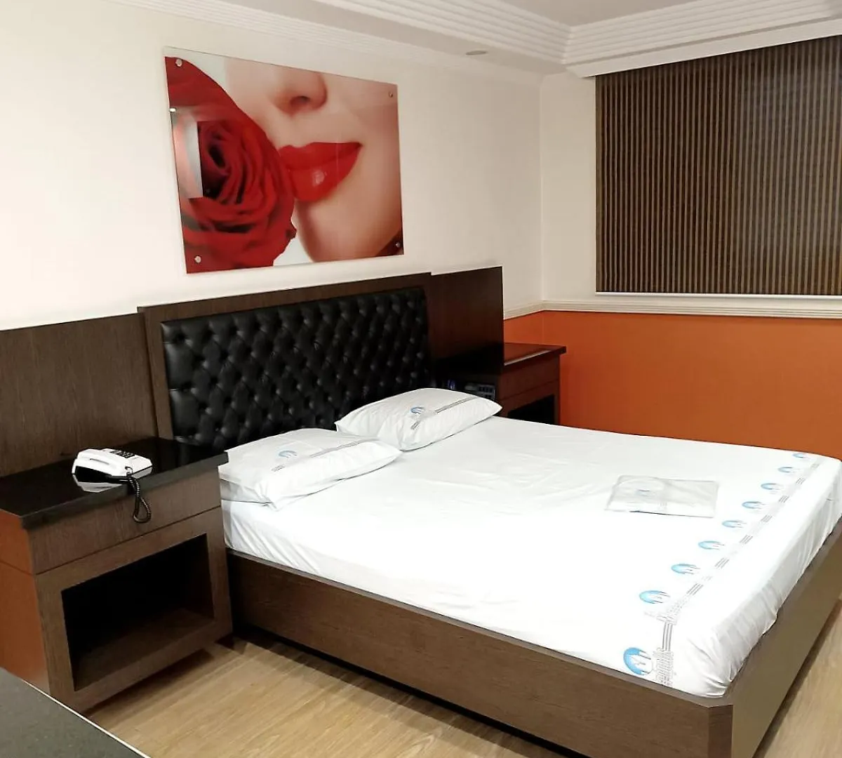 Hotel Metropolis Centro Sao Paulo (Adults Only) Love hotel